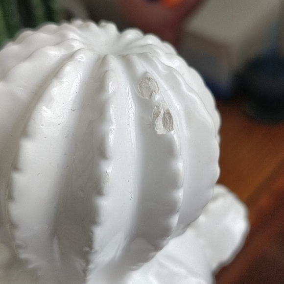 Cute Ceramic Cactus - Picture 4 of 4